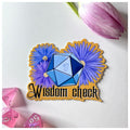 Wisdom check -vinyylitarra