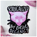 Basic decency -vinyylitarra
