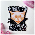Basic decency -vinyylitarra