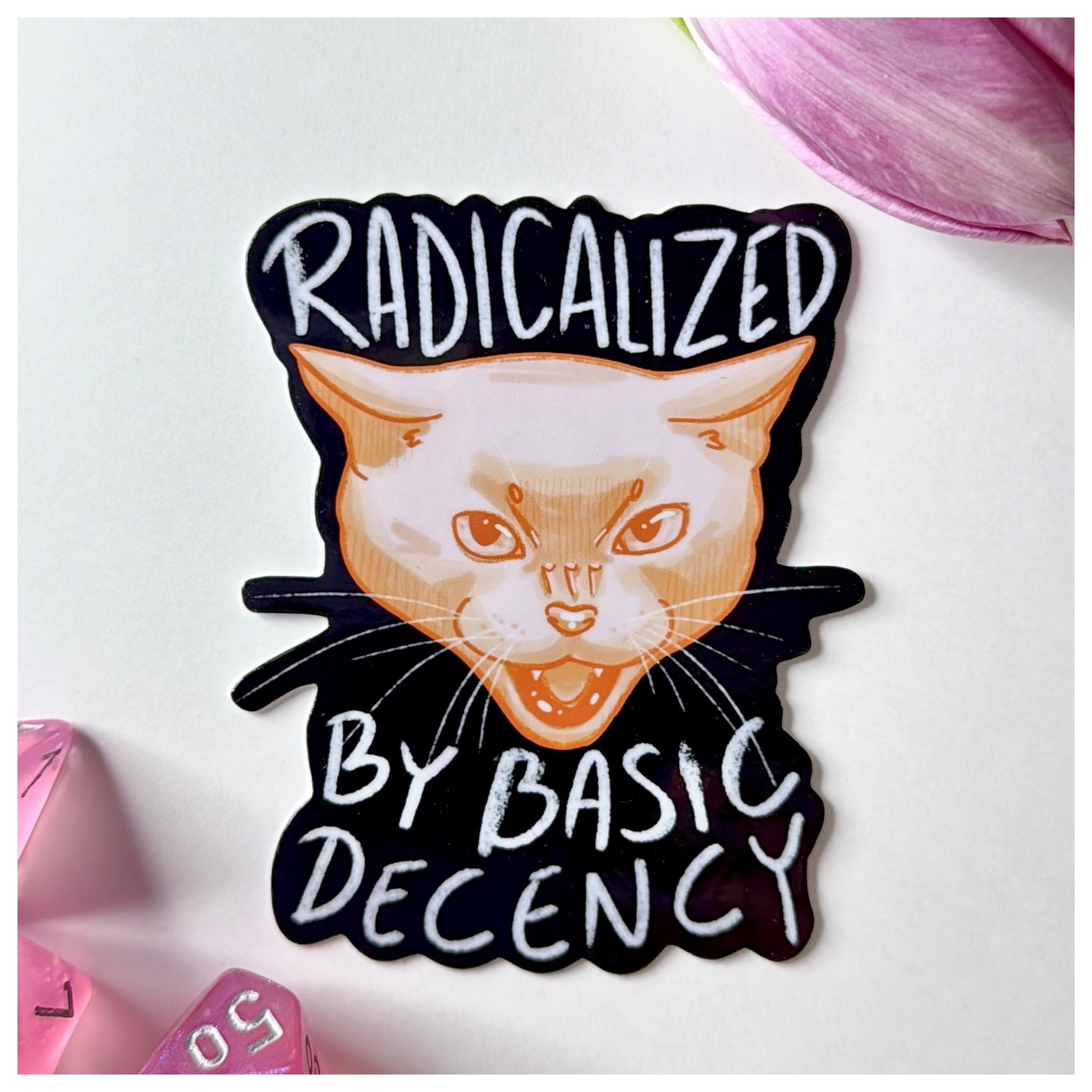 Basic decency -vinyylitarra