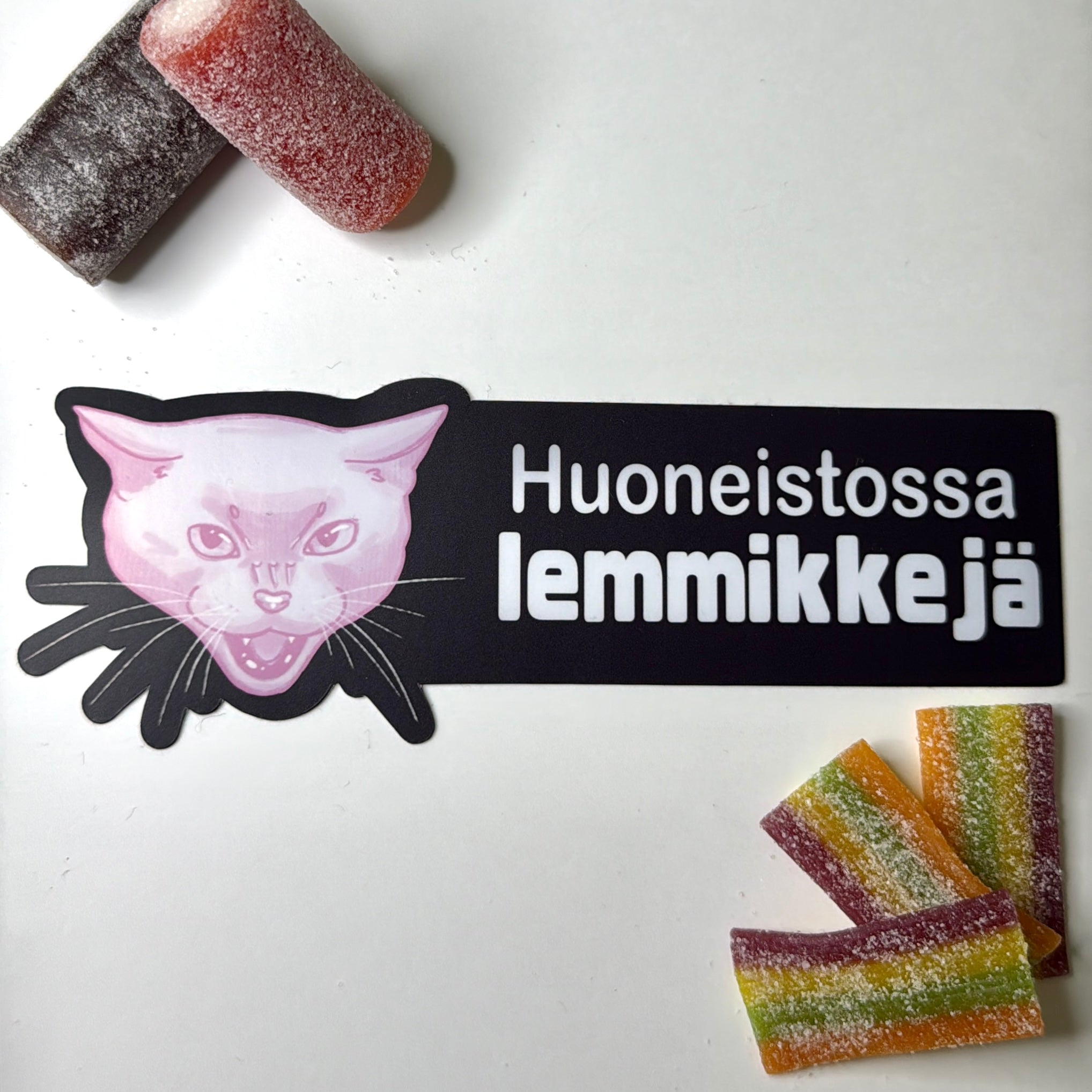 Huoneistossa lemmikkejä -ovitarra kissa, iso