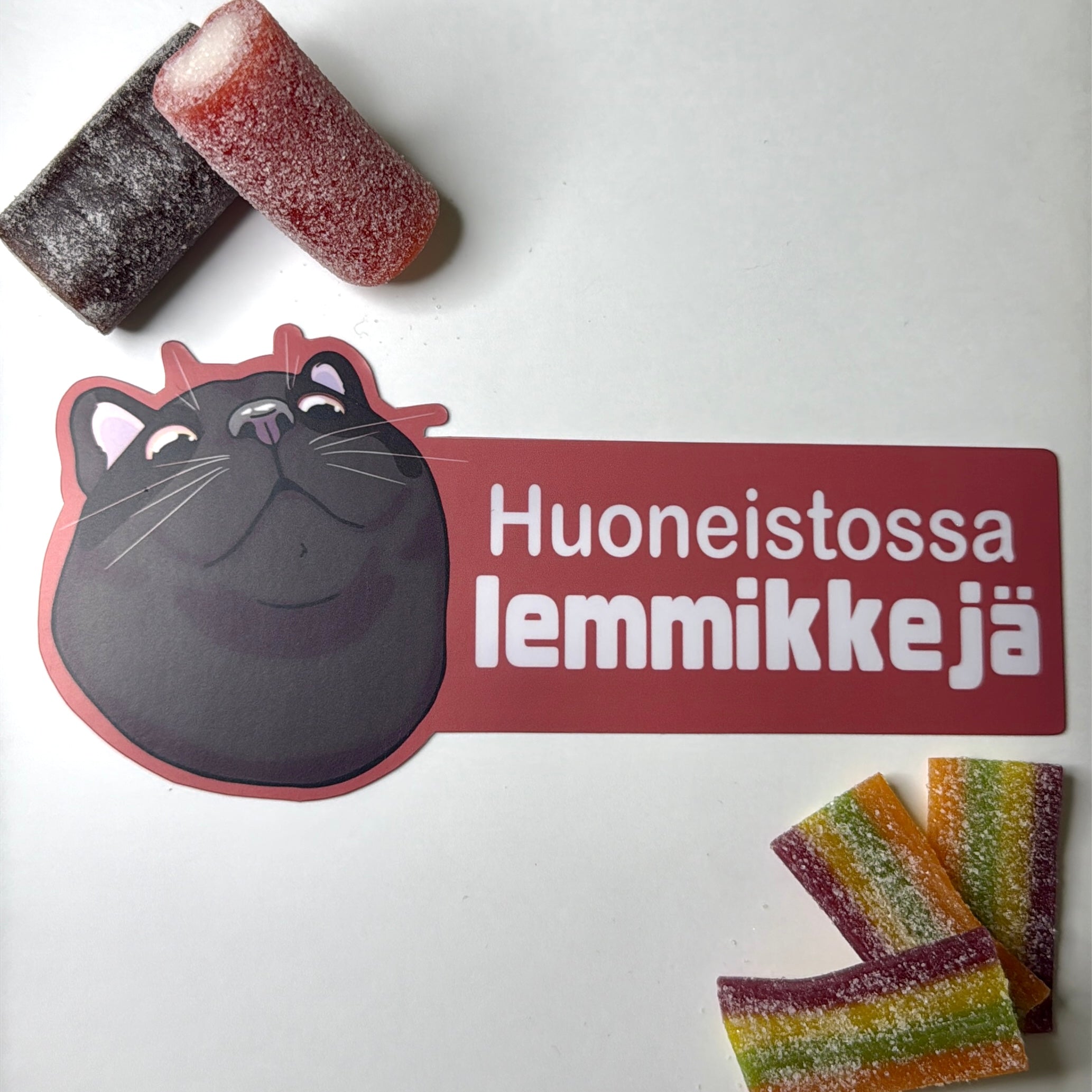 Huoneistossa lemmikkejä -ovitarra kissa, iso