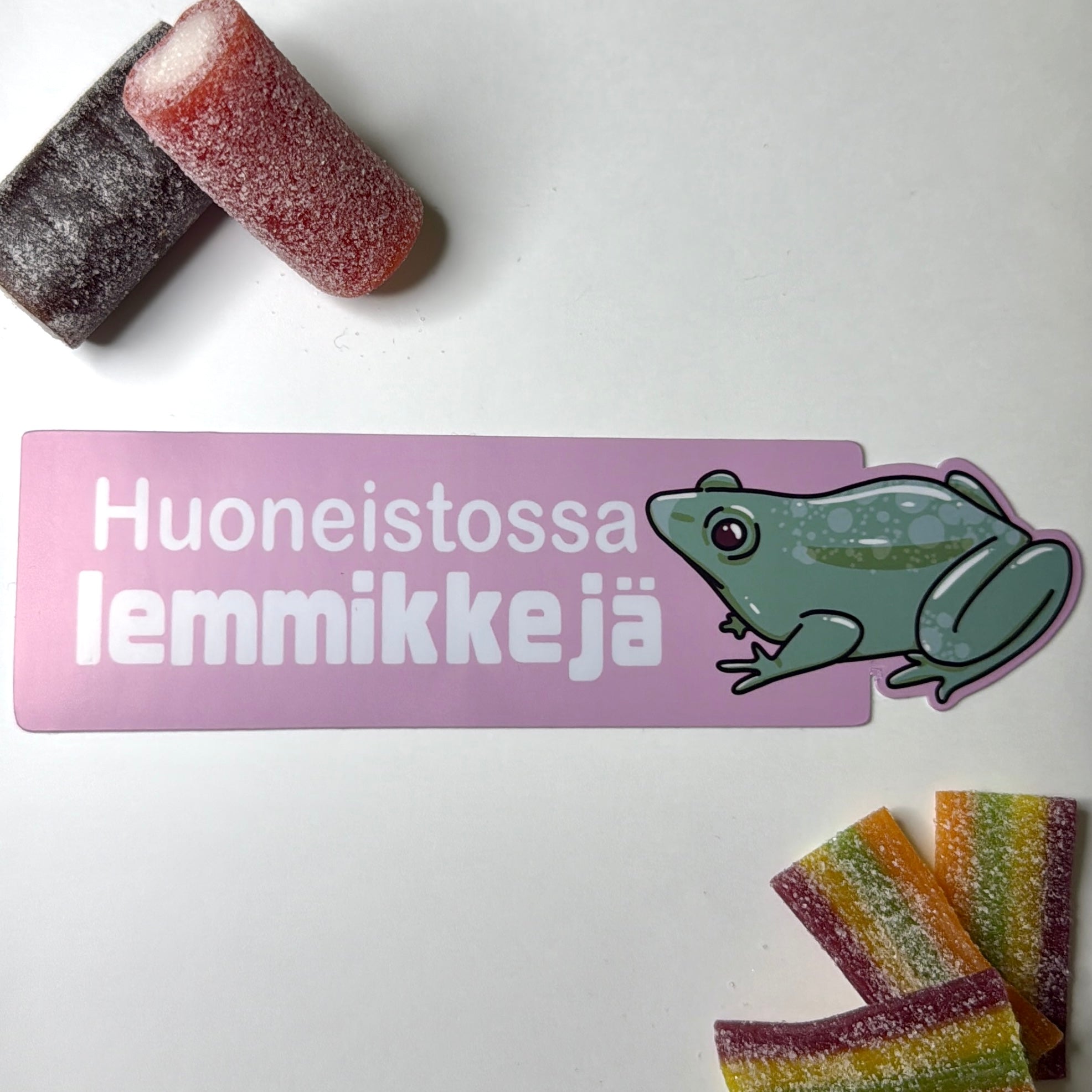 Huoneistossa lemmikkejä -ovitarra sammakko, iso