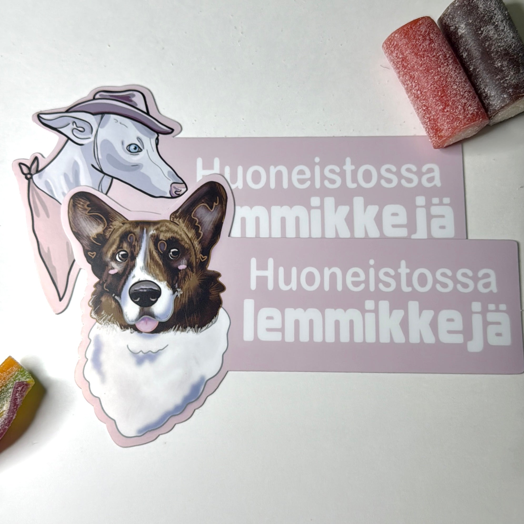 Huoneistossa lemmikkejä -ovitarra koira, iso