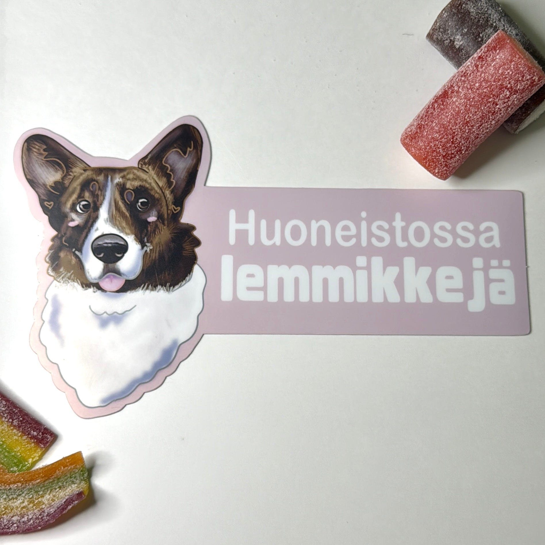 Huoneistossa lemmikkejä -ovitarra koira, iso