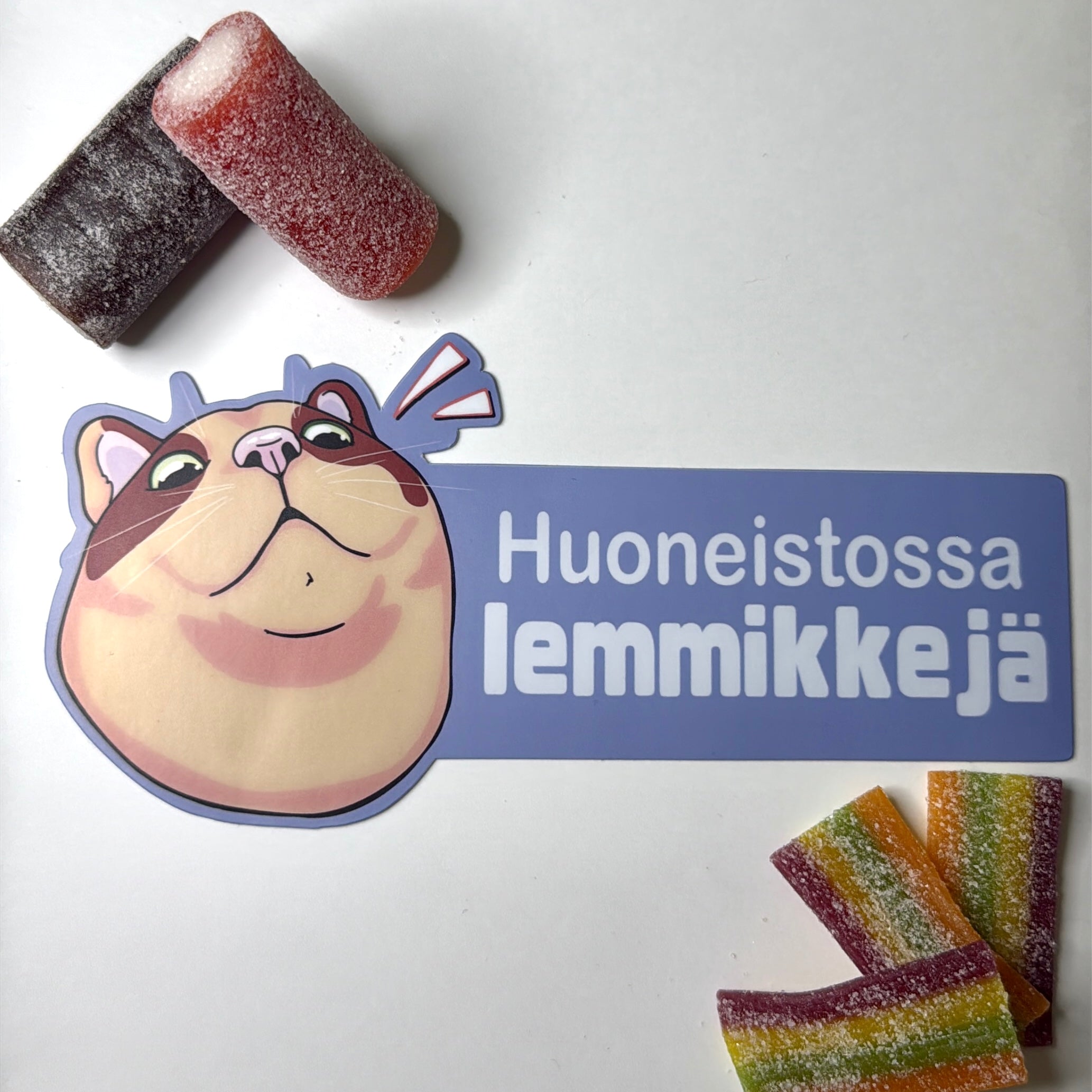 Huoneistossa lemmikkejä -ovitarra kissa, iso